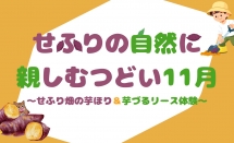 【受付開始】せふりの自然に親しむつどい11月(日帰り)
